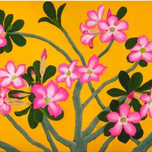 Flores del desierto